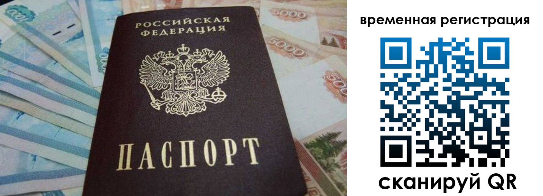 временная регистрация гарантия в Вязьме