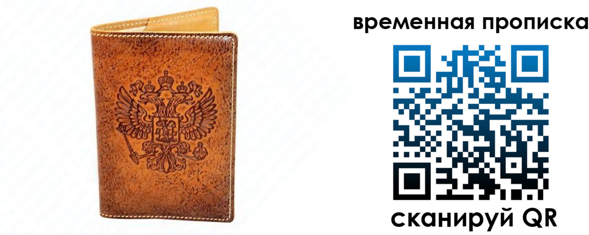 прописка ребенка в Вязьме